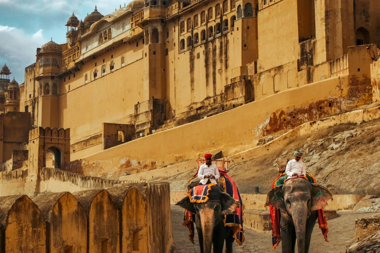 untitled design (11) untitled design (11)